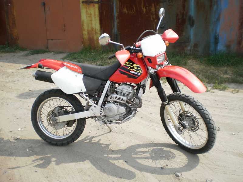 Антон Здобников фотография #46