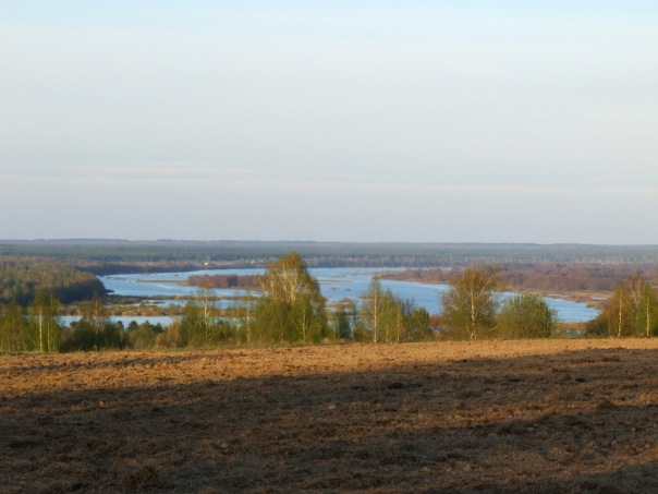 Дмитрий Cеребряков фото №26