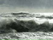 Фотография Коваль Натальи