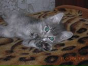 Фотография Юриной Людмилы