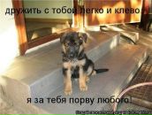 Vasia =) фотография #36 (источник - https://vk.com/id64815773)