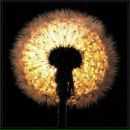 Фотография Ситниковой Дашули