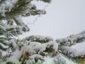 Иван Самуленков фотография #24 (источник - https://vk.com/id6062893)