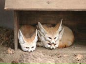 Фотография Маньковой Ирины