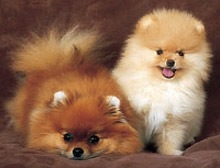 №19, Елена Метельская, 64 года, Минск №19, Елена Метельская, 64 года, Минск