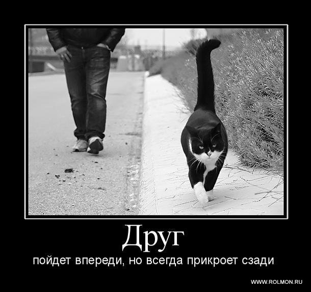 Эдуард Орлов фотография #17