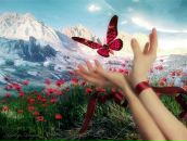 Фотография Замалдинов Ильдар