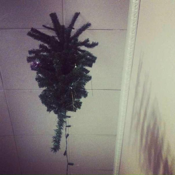 Лера Бойко фото №34