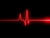 Фотография Беглецова Максима