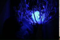 Фотография Никитиной Юлии