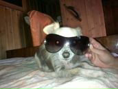 Фотография Шарандиковой Катерины