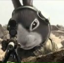 Фотография Бочинина Анатолия