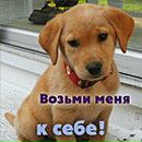 Андрій Дехтярук фотография #25 (источник - https://vk.com/id164672291)