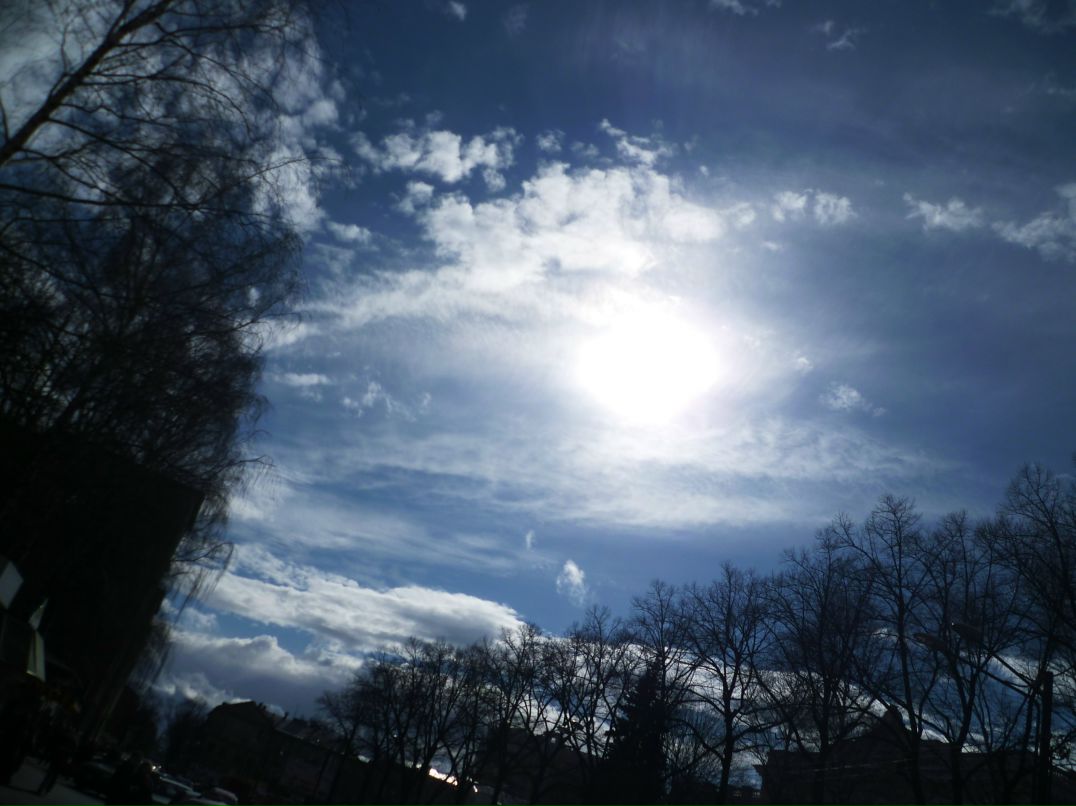 Dragon Fly фотография #49