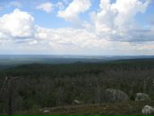 Иван Паньков фотография #24 (источник - https://vk.com/id746503)