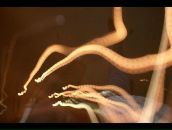 Bruce Raw фотография #47 (источник - https://vk.com/id629149)