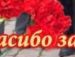 Міша Савчин фотография #27 (источник - https://vk.com/id64205788)