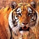 Олексій Набока фотография #14 (источник - https://vk.com/id152488550)