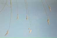 Фотография Zhdanova Alina