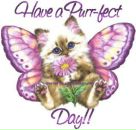 Катрина Grom фотография #5 (источник - https://vk.com/id245462)