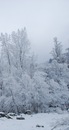 Надя Ш. фотография #8 (источник - https://vk.com/id151546051)
