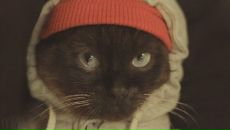 Фотография Шульги Димы