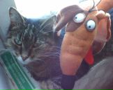 Фотография Ануфриевой Ольги