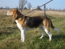 Ванічка Костик фотография #10 (источник - https://vk.com/id121855869)