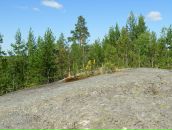 Симас Бумша фотография #24 (источник - https://vk.com/id616533)