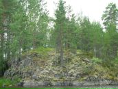 Симас Бумша фотография #35 (источник - https://vk.com/id616533)