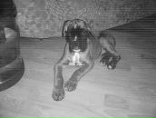 Фотография Комаровой Татьяны