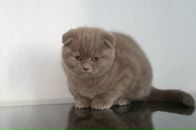 Фотография Абдулкиной-Нигматуллиной Лилии