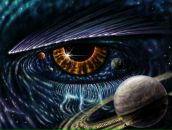 Фотография Свежевского Станислава