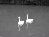 Андрій Ткач фотография #50 (источник - https://vk.com/id5782782)