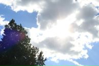 Фотография Лобасевой Алии