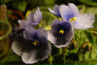 Фотография Поляковой Юлии