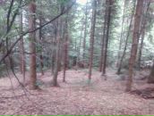 Віталій Боян фотография #25 (источник - https://vk.com/id108656357)