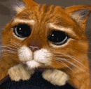 Фотография Леонова Лехи