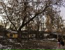 Ліза Москалець фотография #1
