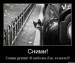  фотография #33