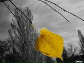 Фотография Воробьевой Татьяны