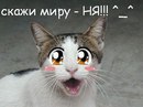 Хіната Хьюго фотография #40 (источник - https://vk.com/id166162751)