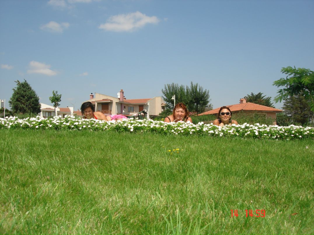 Дмитрий Орлов фотография #7