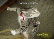 Віктор Попко фотография #9 (источник - https://vk.com/id28723950)