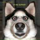 Фотография Deider Wart