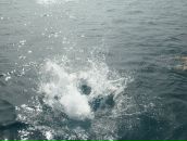 Фотография Таниной Татьяны