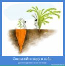 Sem Sem фотография #7 (источник - https://vk.com/id149177329)