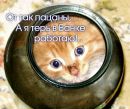 Фотография Ржавитина Евгения