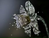 Фотография Рясков Ян