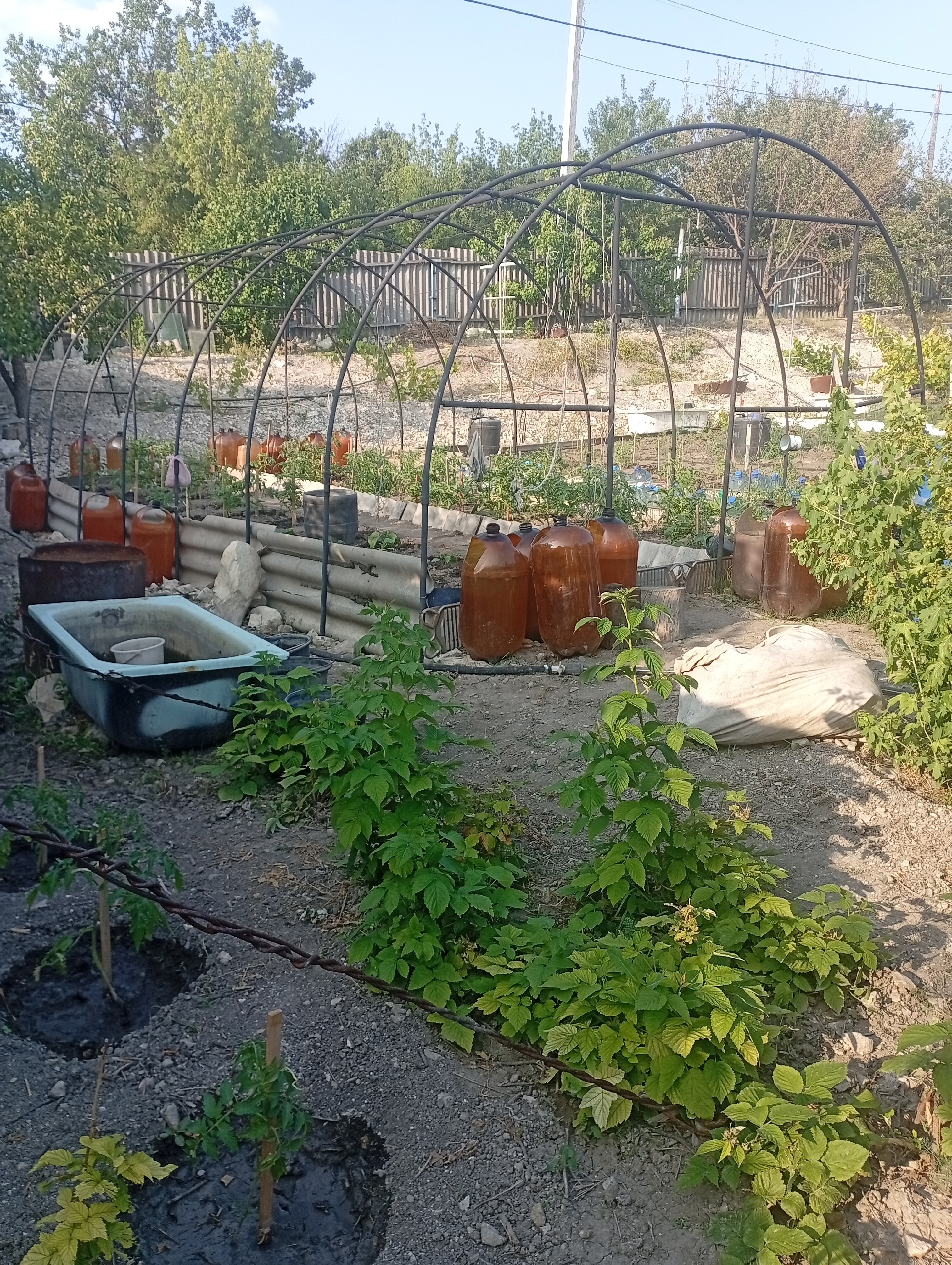 Продам земельный участок под застройку 5.14 соток, по факту больше. Луганск Жовтневый район поселок Весёленькое, городок Дачный. Зарегистрирован в Росреестре, документы РФ. Вода поливная по расписанию. Электричество подключено. Газ по улице. Участок огорожен. Сад с плодоносящими деревьями. Абрикос, слива, виш...